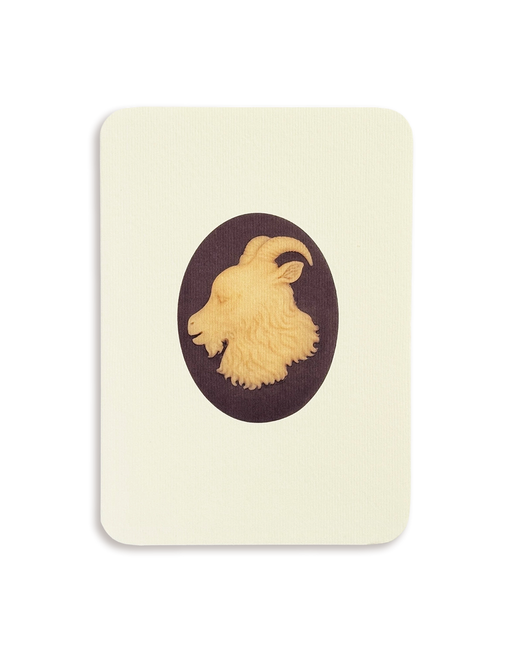 Capricorn Signs of the Zodiac Greeting Card