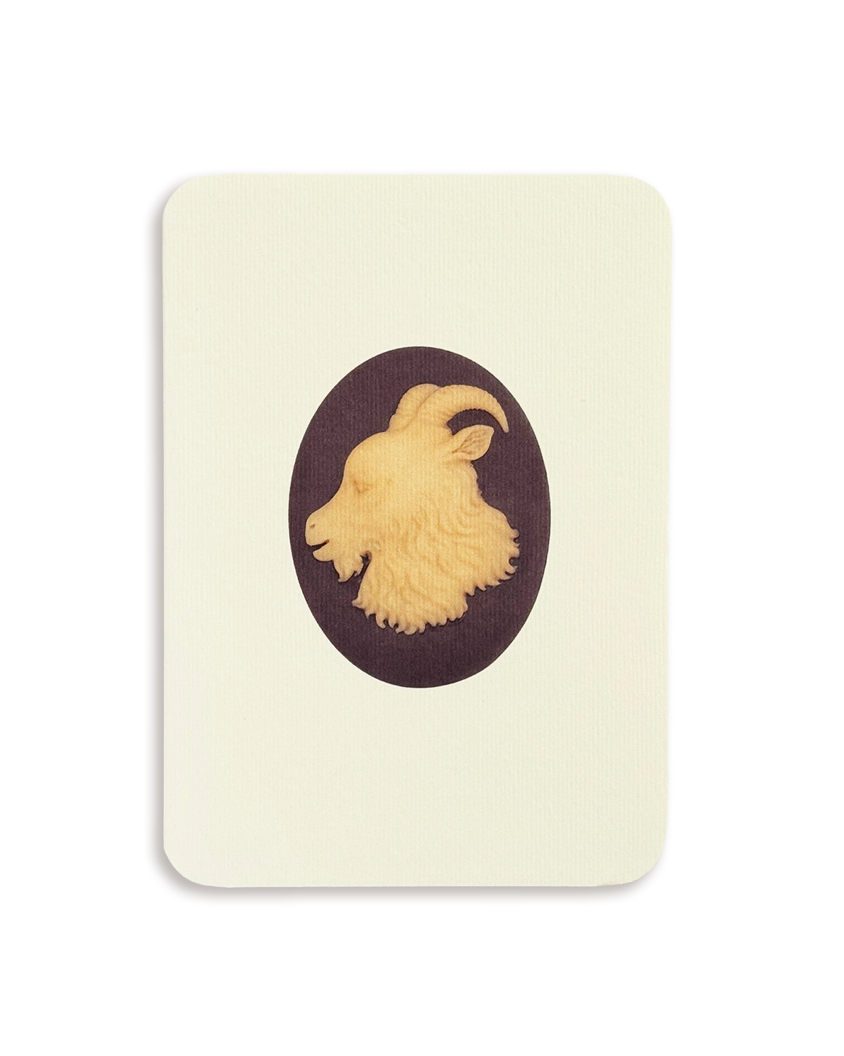 Capricorn Signs of the Zodiac Greeting Card