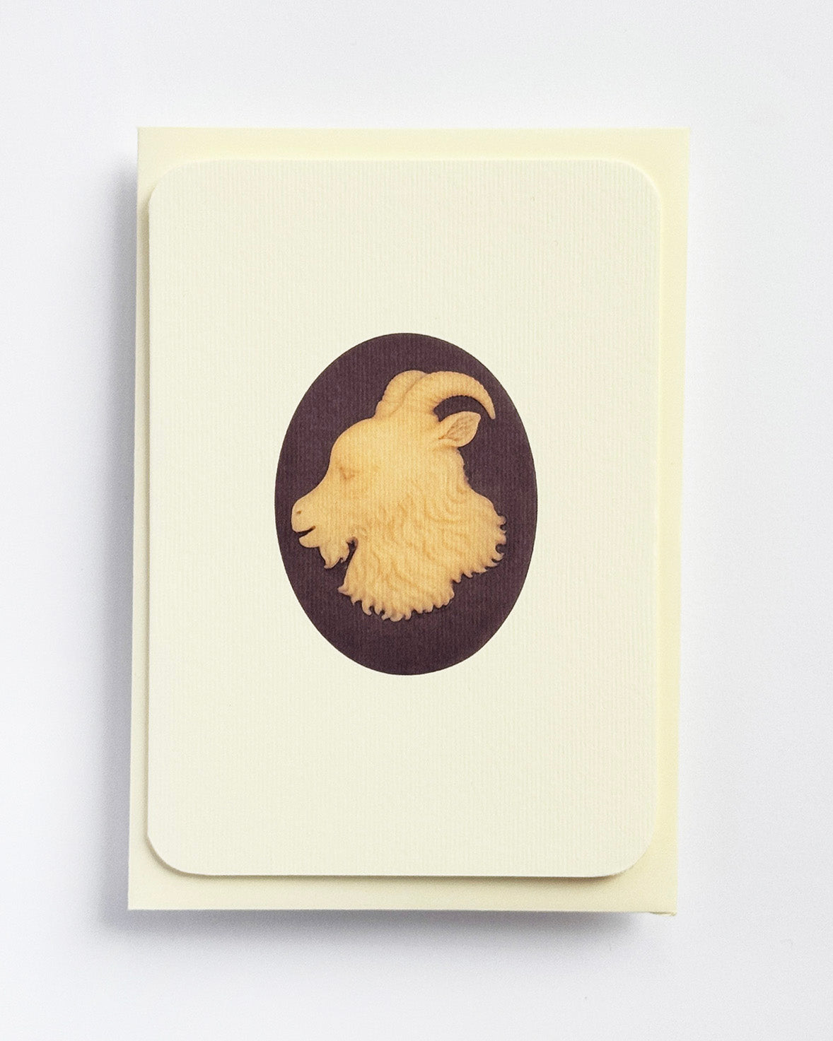 Capricorn Signs of the Zodiac Greeting Card