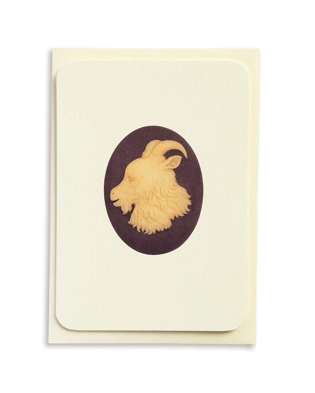 Capricorn Signs of the Zodiac Greeting Card