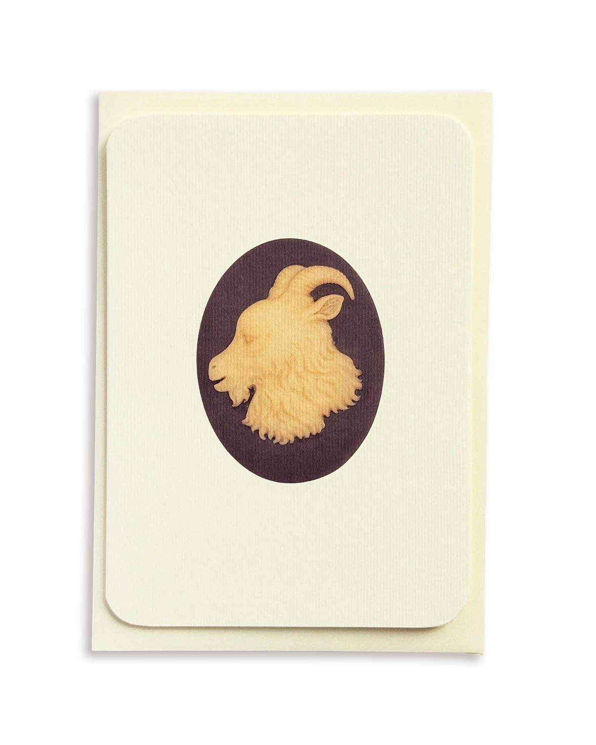 Capricorn Signs of the Zodiac Greeting Card