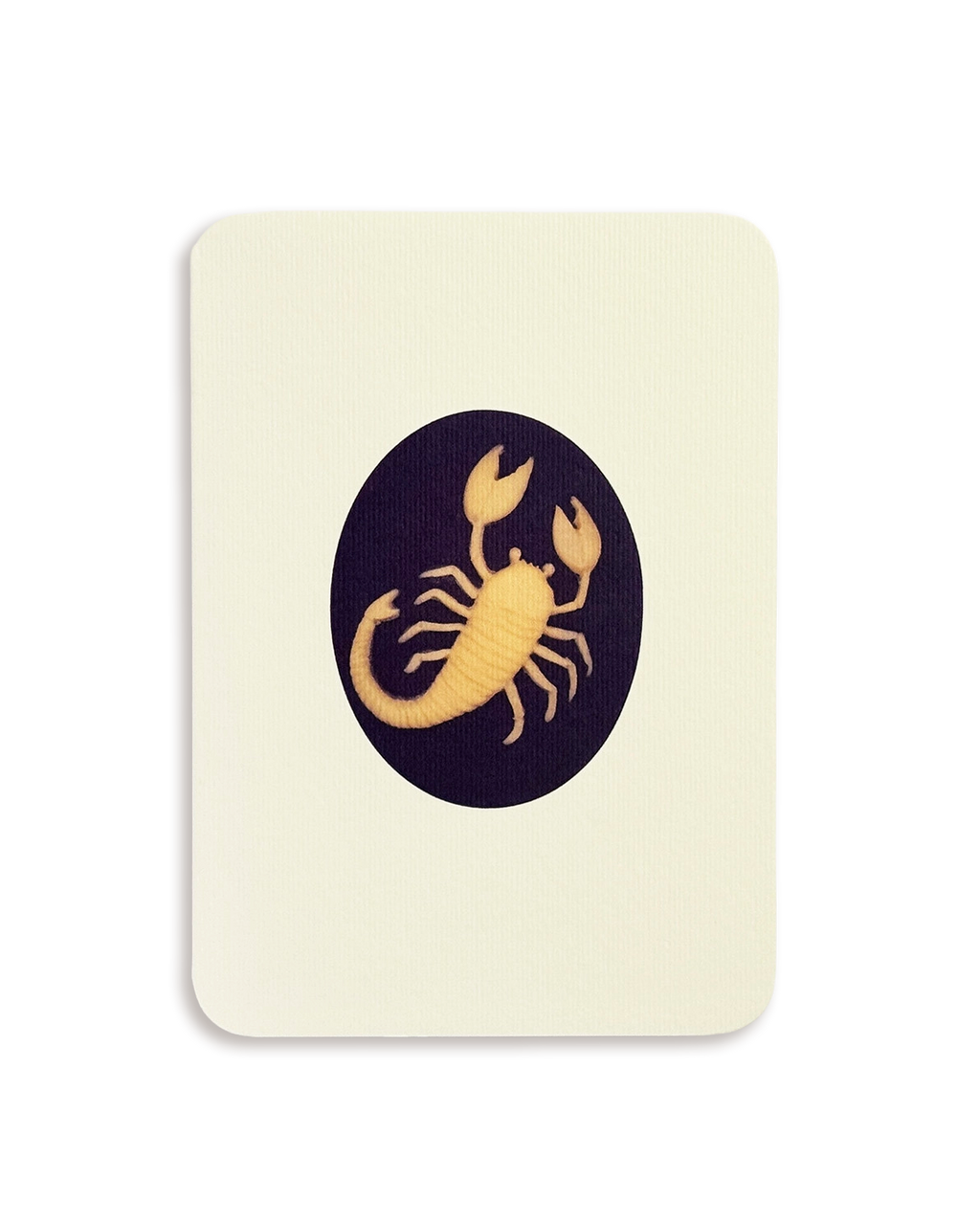 Scorpio Signs of the Zodiac Greeting Card