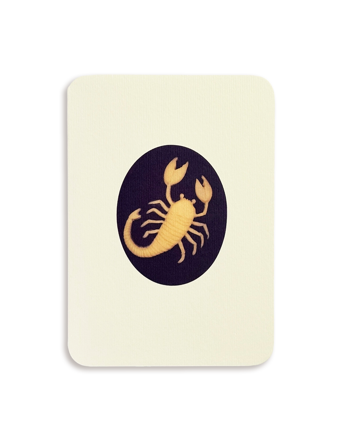 Scorpio Signs of the Zodiac Greeting Card