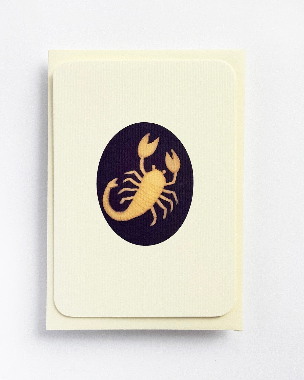 Scorpio Signs of the Zodiac Greeting Card