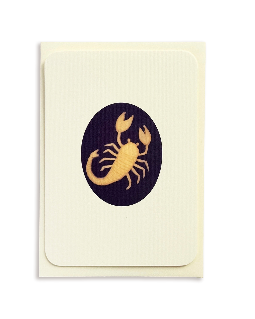 Scorpio Signs of the Zodiac Greeting Card