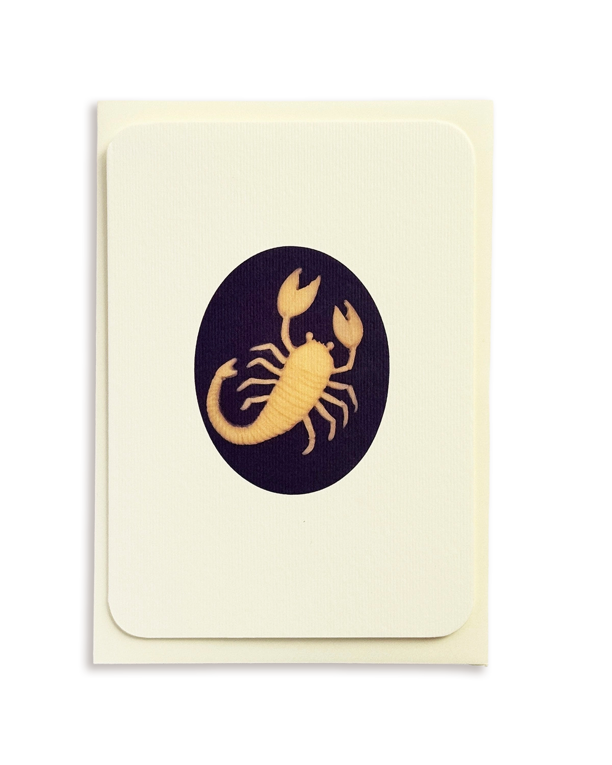 Scorpio Signs of the Zodiac Greeting Card