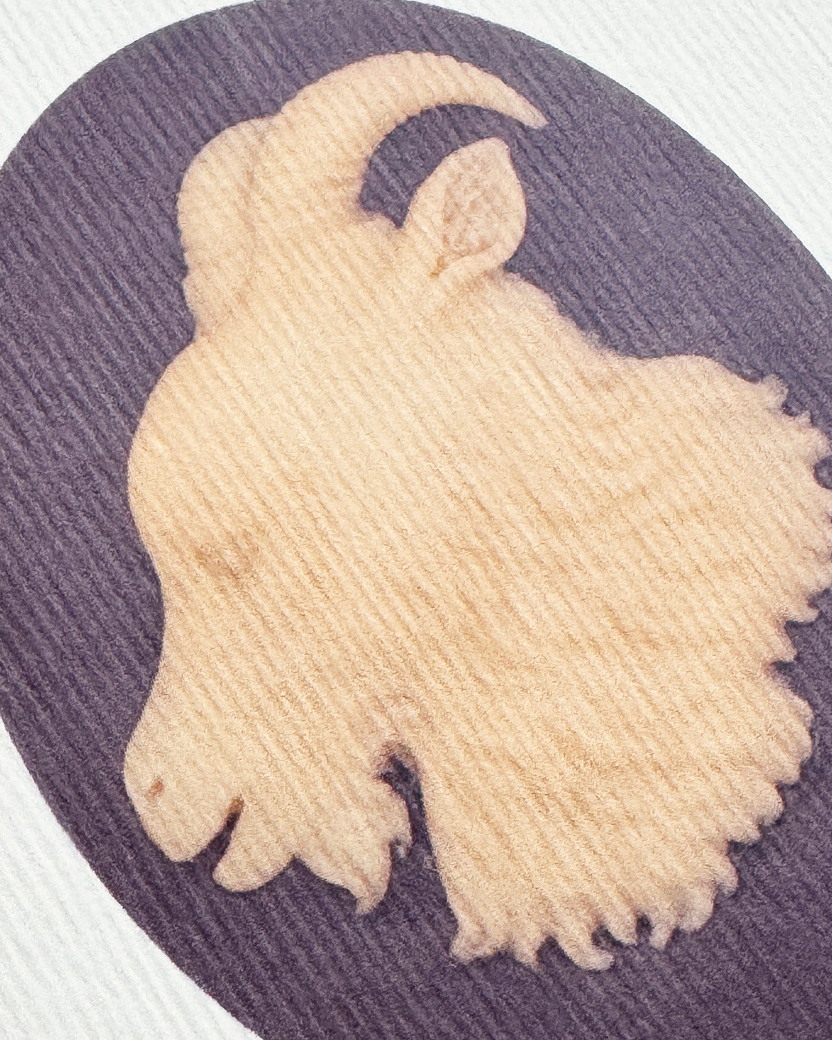 Capricorn Signs of the Zodiac Greeting Card