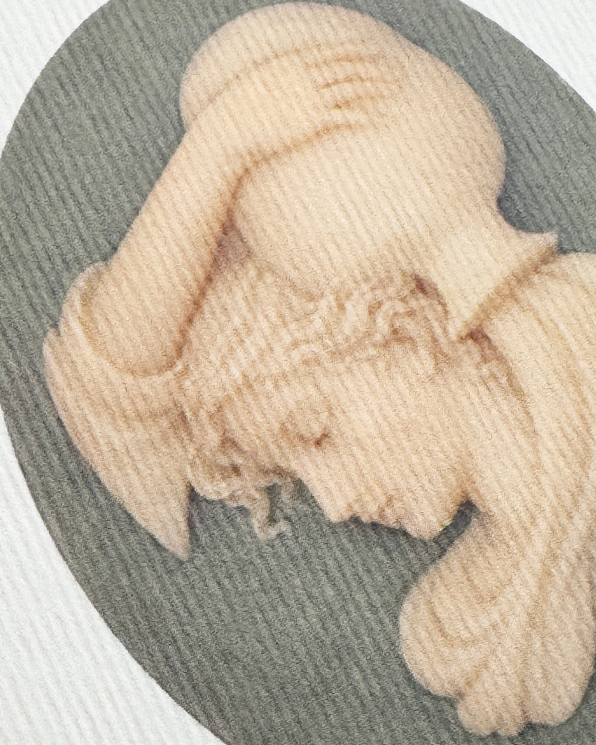 Aquarius Signs of the Zodiac Greeting Card