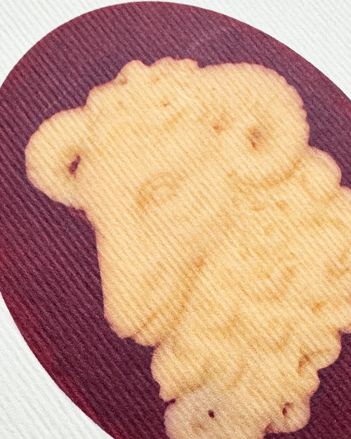 Aries Signs of the Zodiac Greeting Card