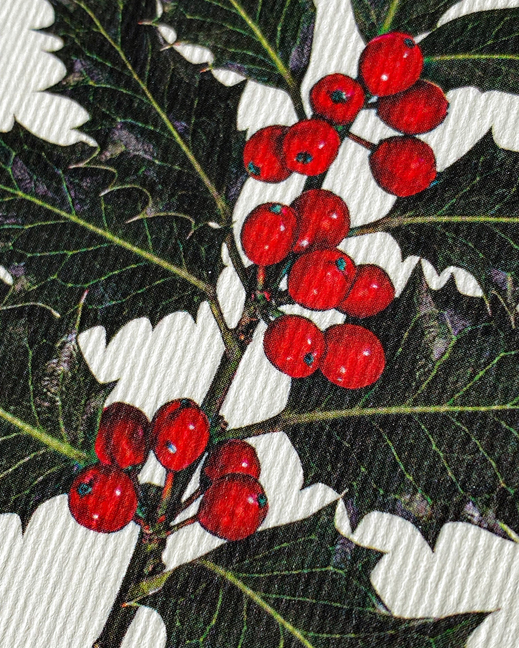Christmas Holly Greeting Card