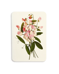 Pink Sweet Peas Greeting Card