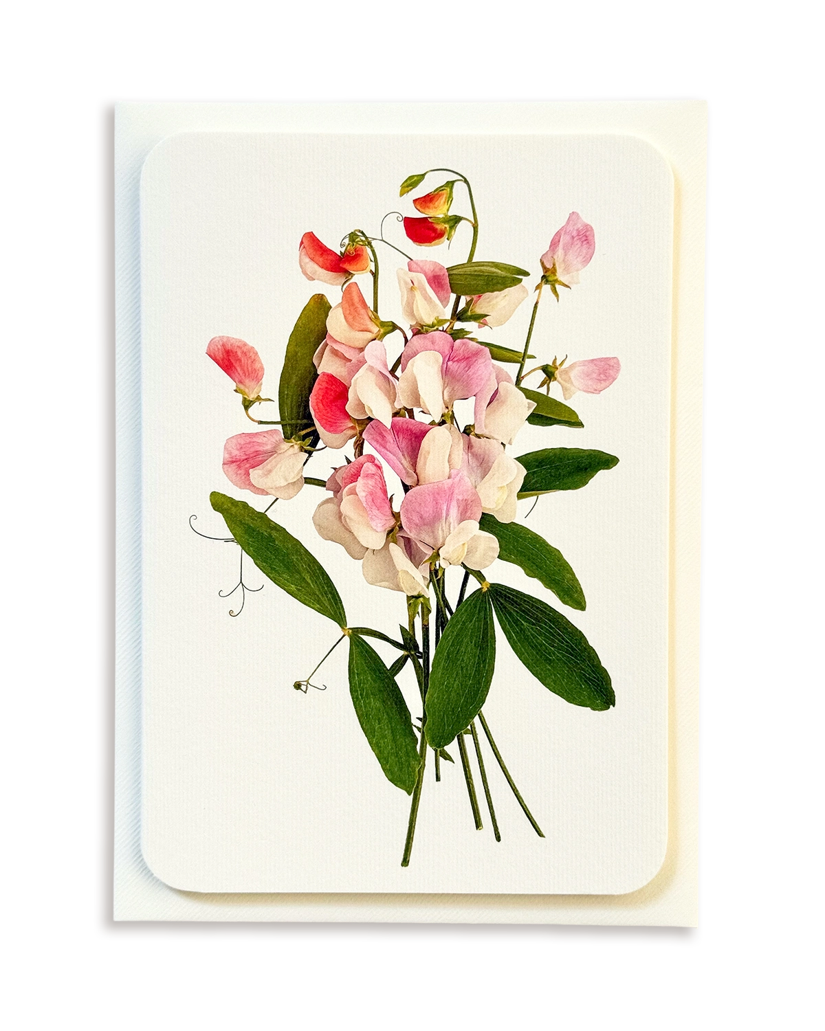 Pink Sweet Peas Greeting Card