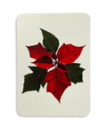 Poinsettia Greeting Card