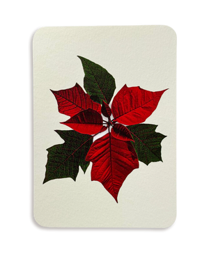 Poinsettia Greeting Card