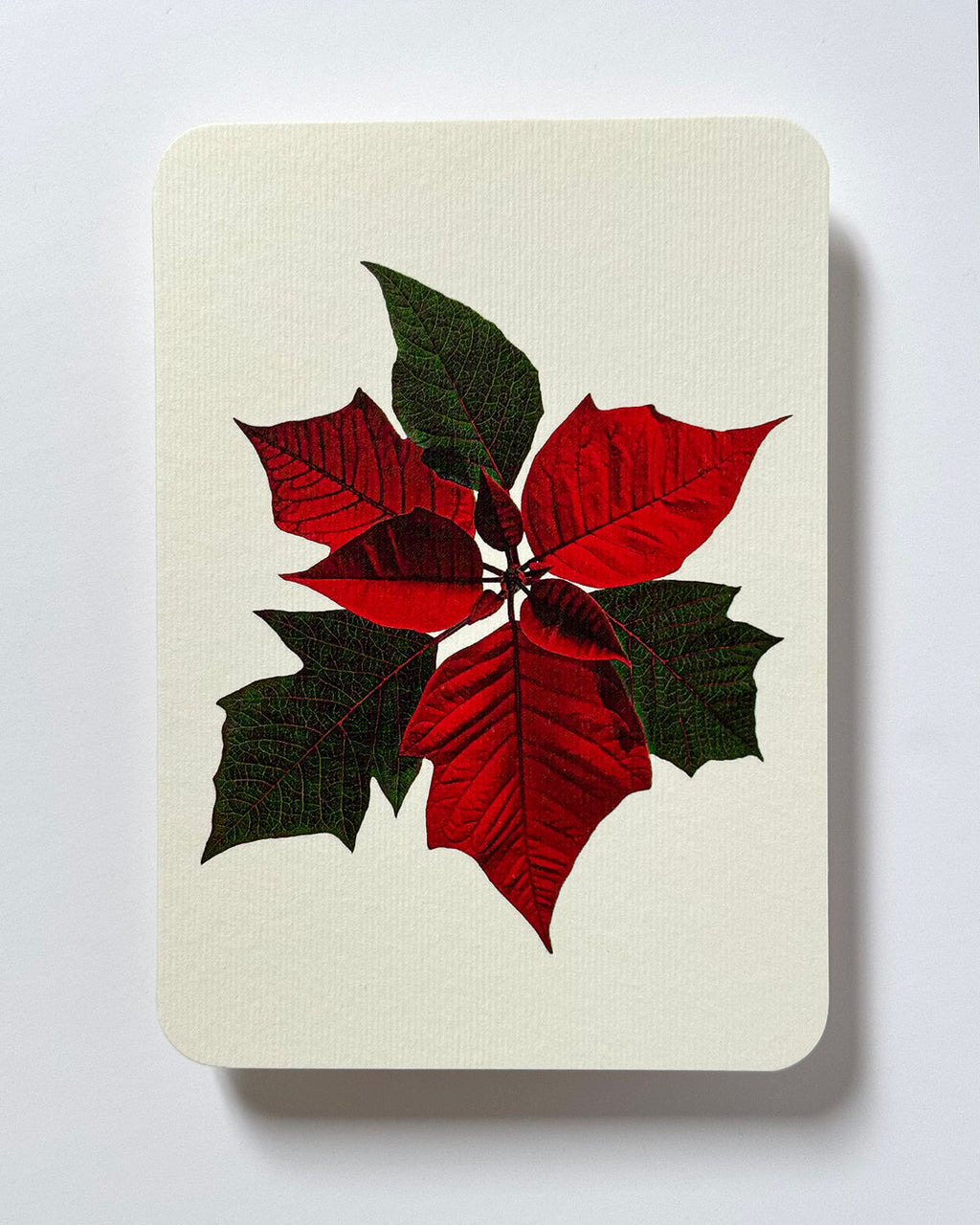 Poinsettia Greeting Card