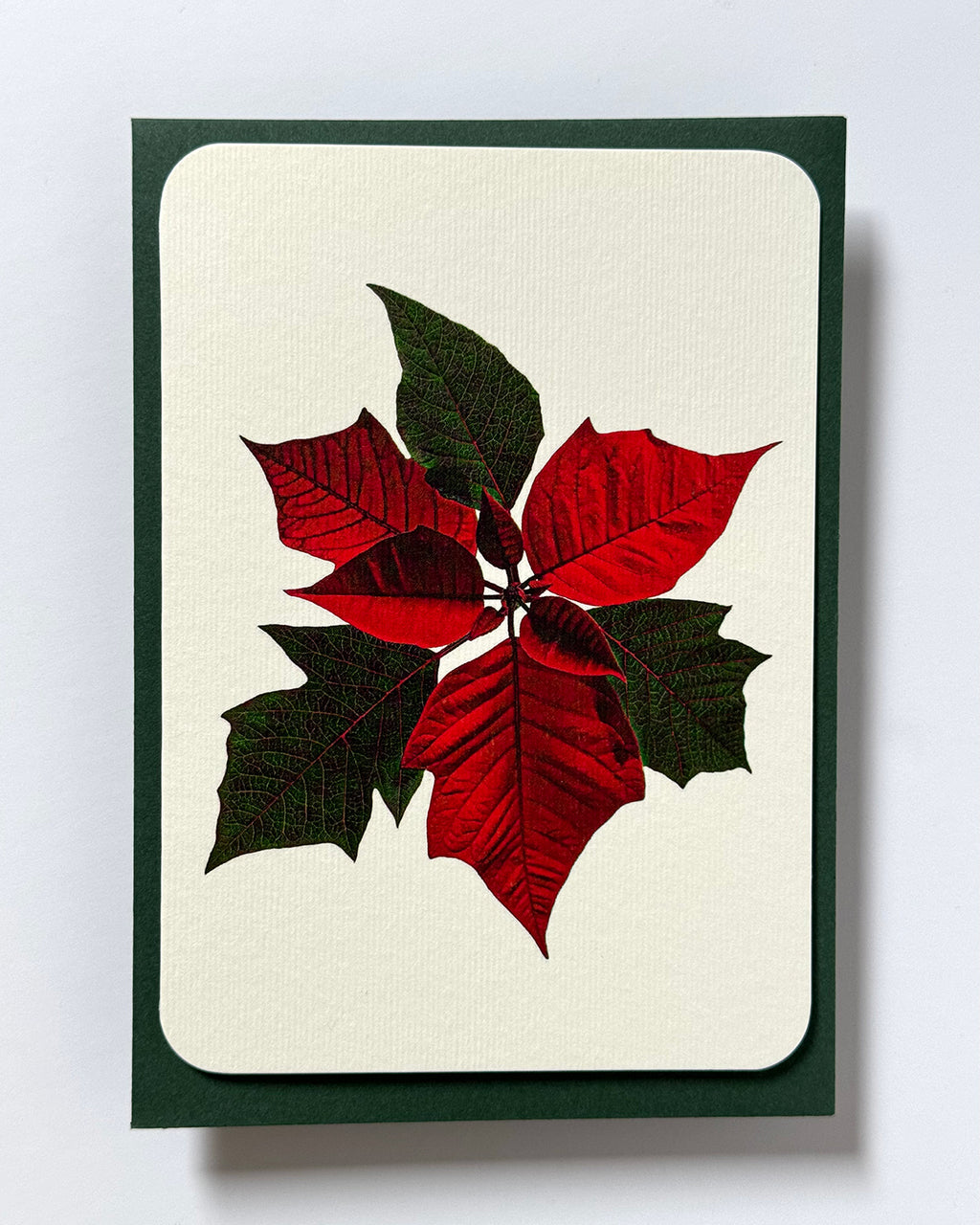 Poinsettia Greeting Card