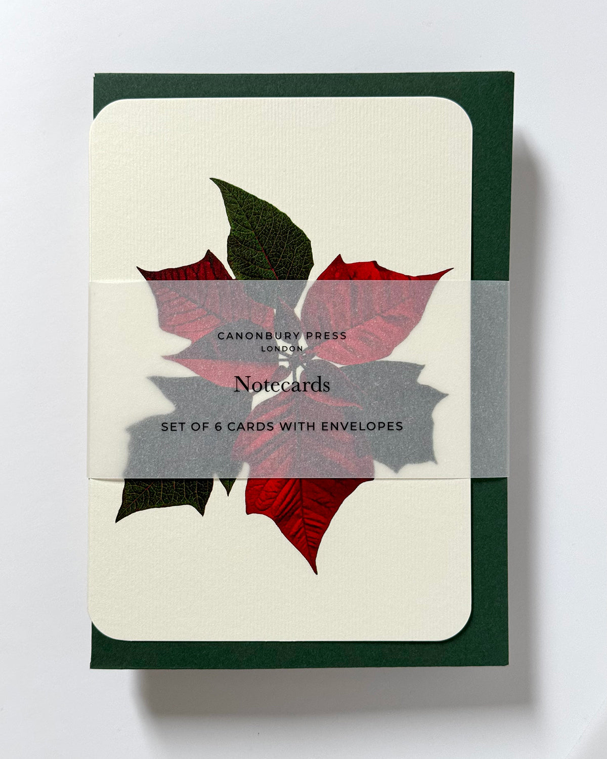 Poinsettia Greeting Card