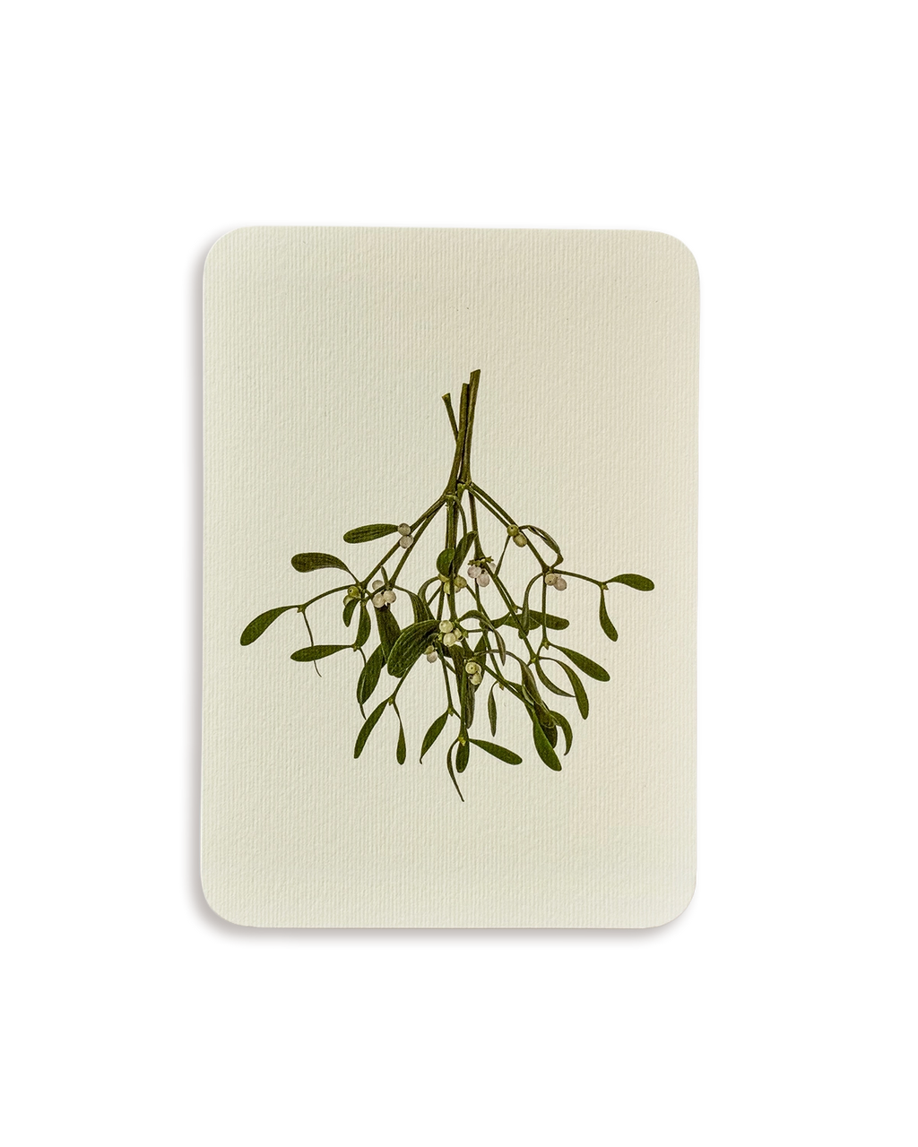 Mistletoe Branch Greeting Card
