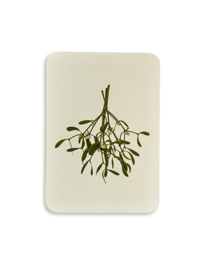 Mistletoe Branch Greeting Card