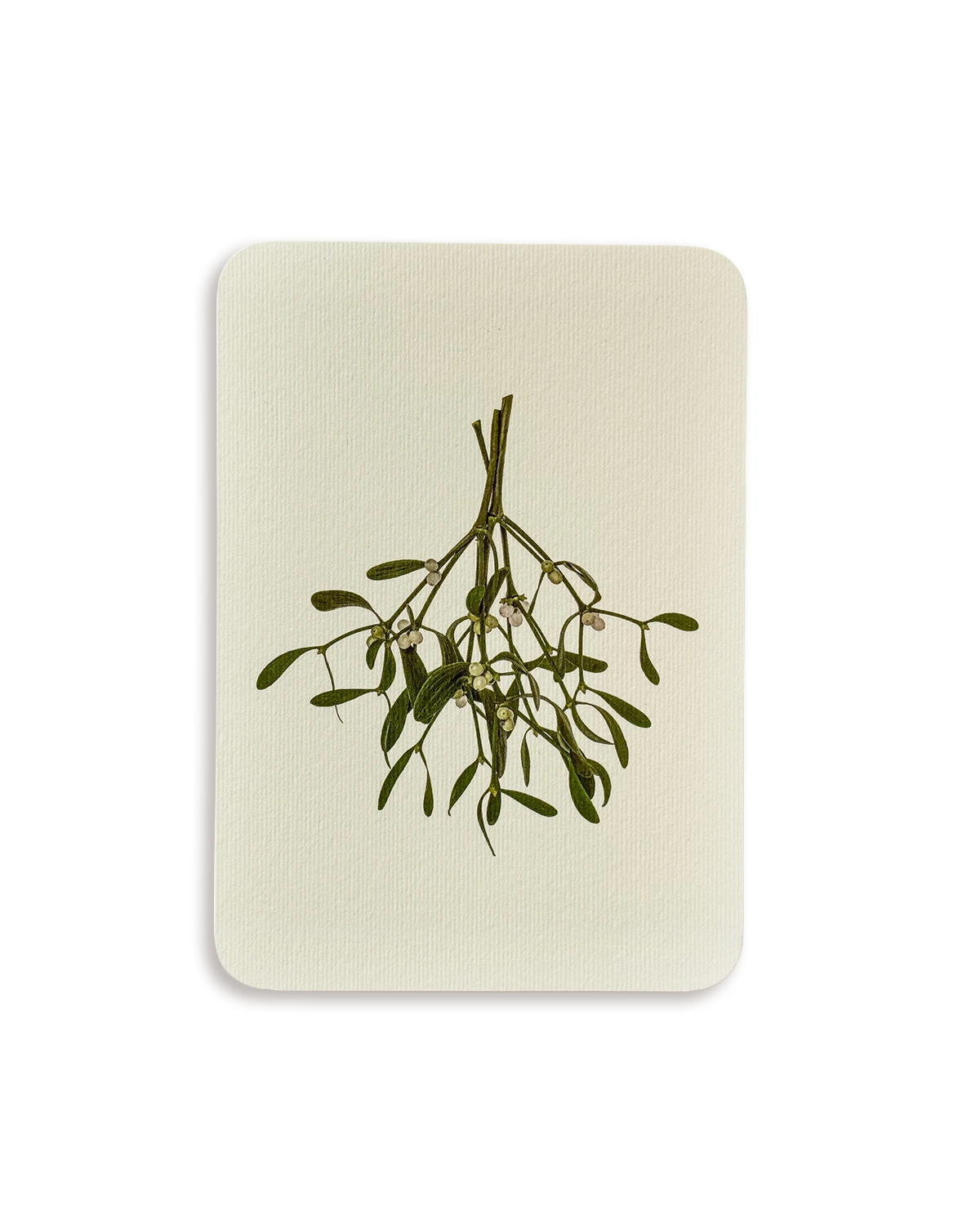 Mistletoe Branch Greeting Card