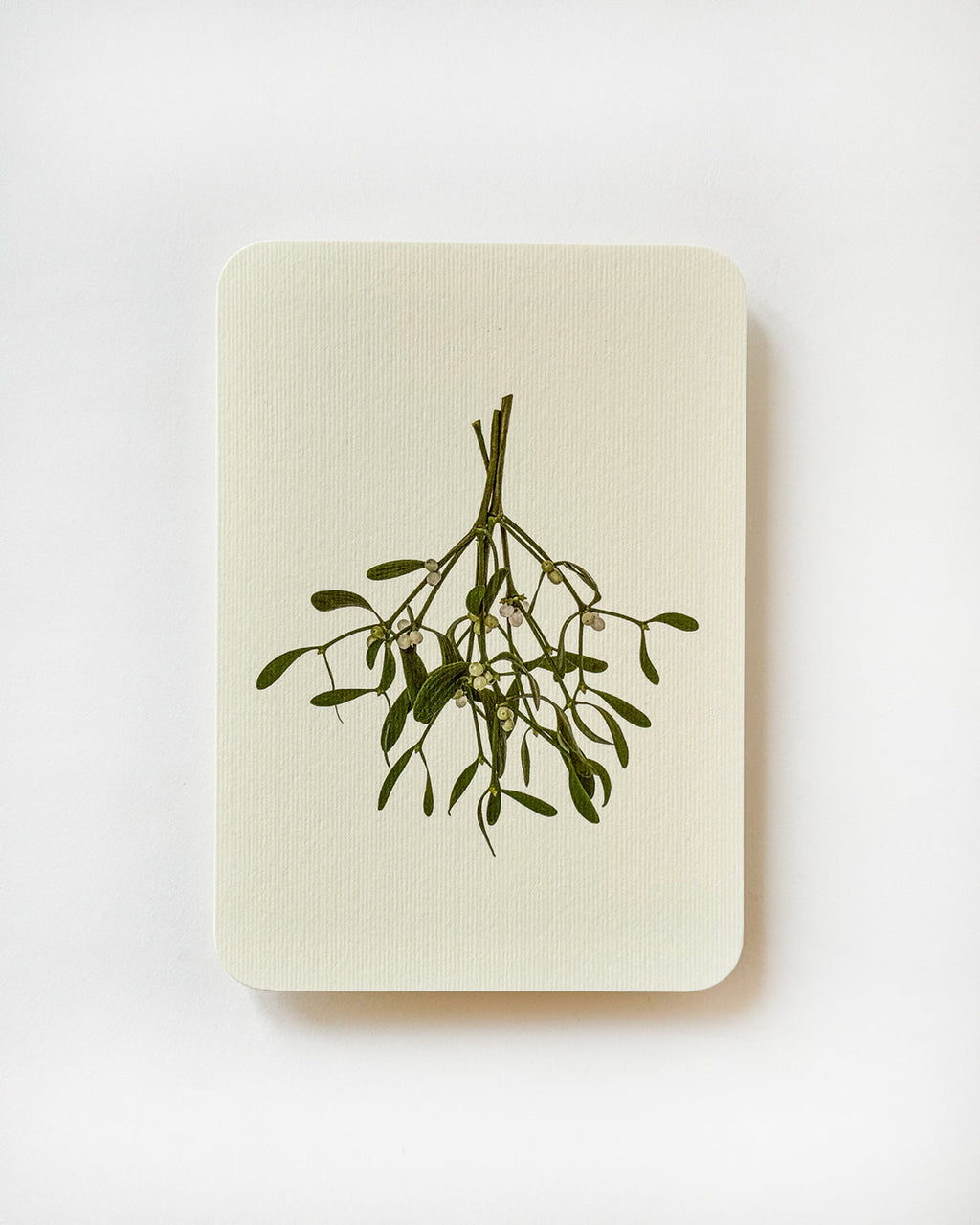Mistletoe Branch Greeting Card