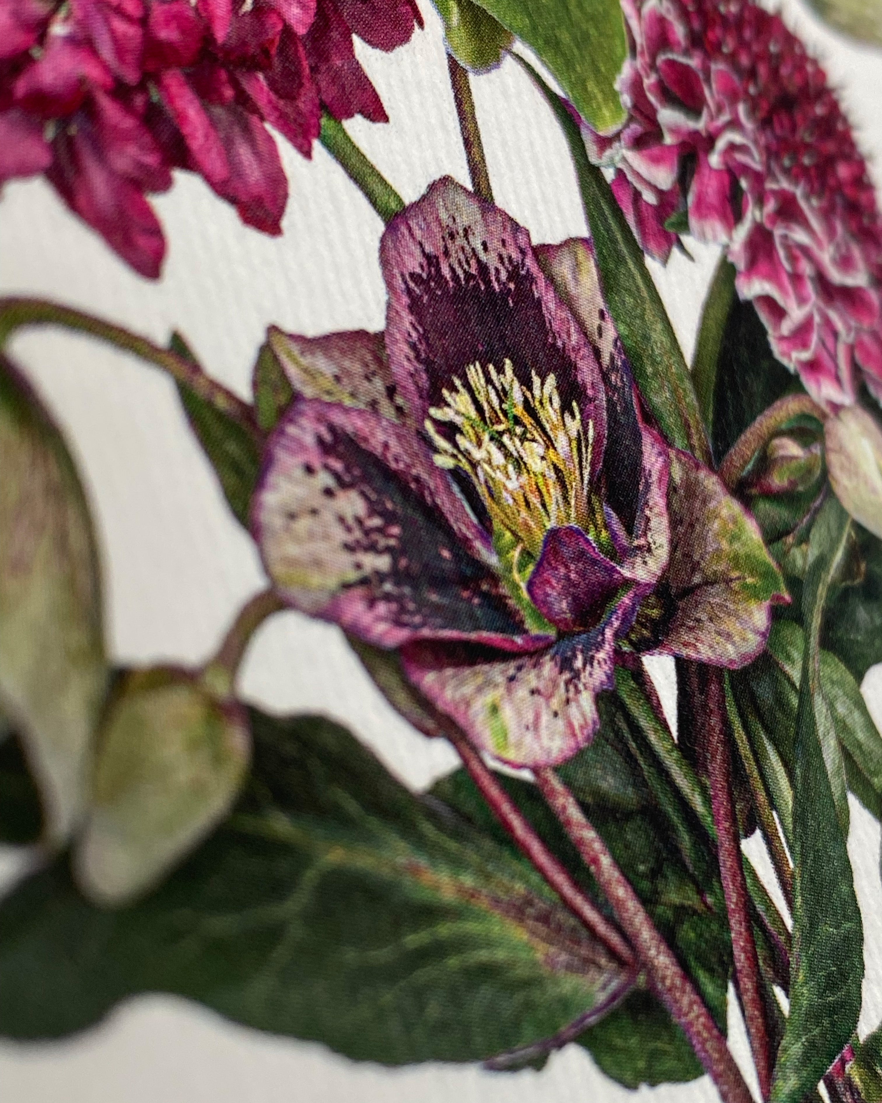 Posy of Hellebore & Scabiosa I Greeting Card