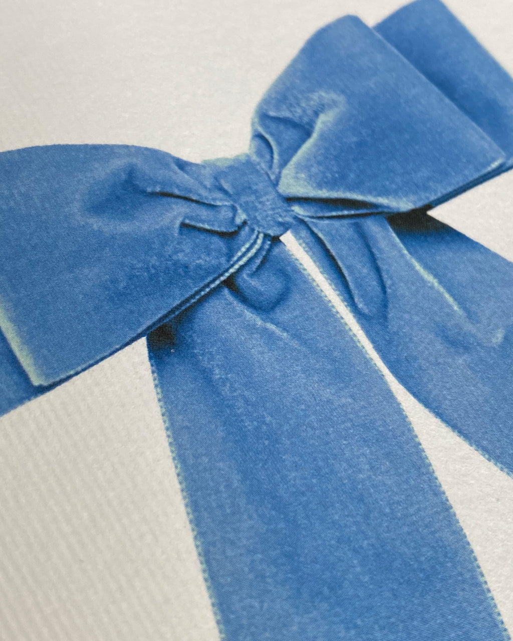 Baby Blue Velvet Bow Greeting Card