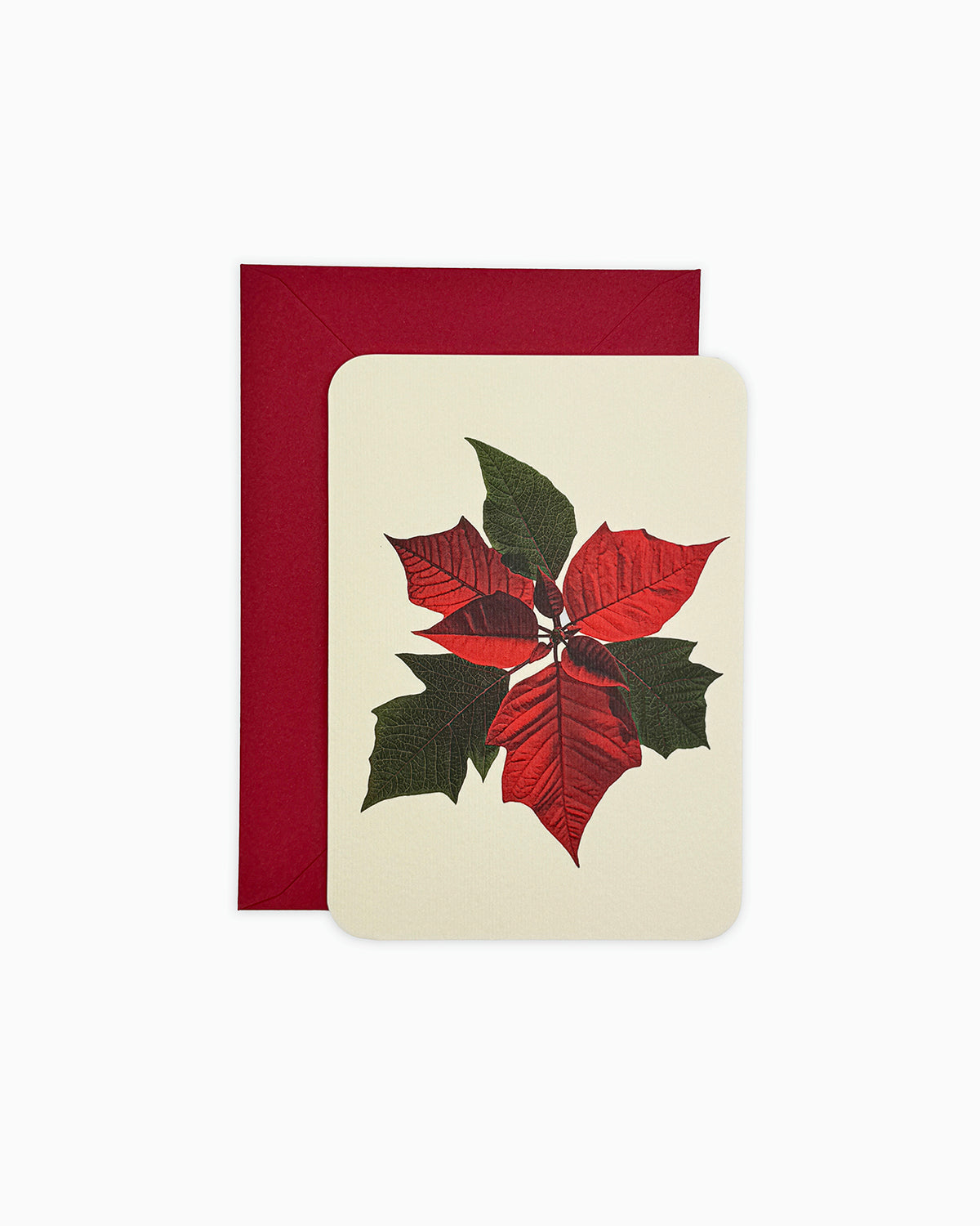 Poinsettia Greeting Card