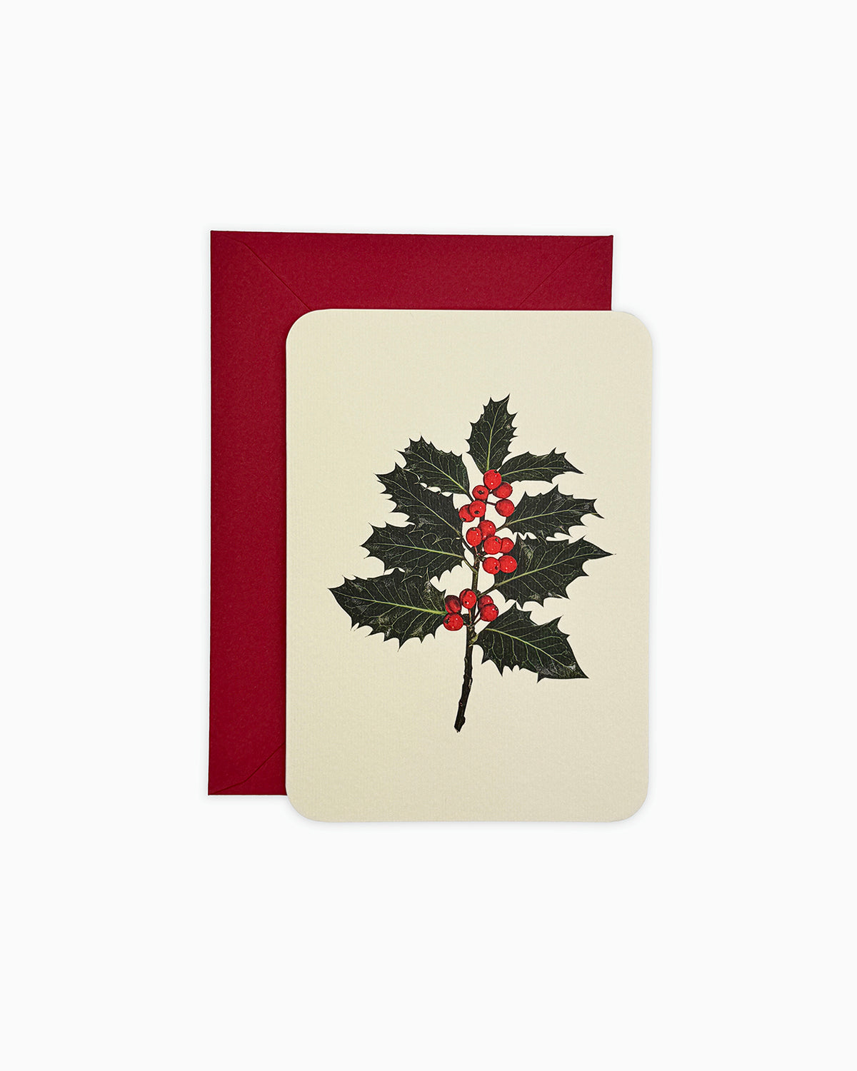 Christmas Holly Greeting Card