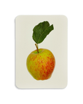 Laxton's Fortune Apple Greeting Card