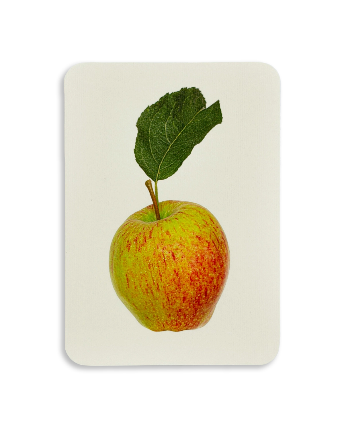 Laxton's Fortune Apple Greeting Card