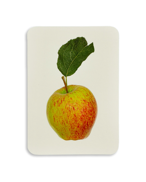 Laxton's Fortune Apple Greeting Card