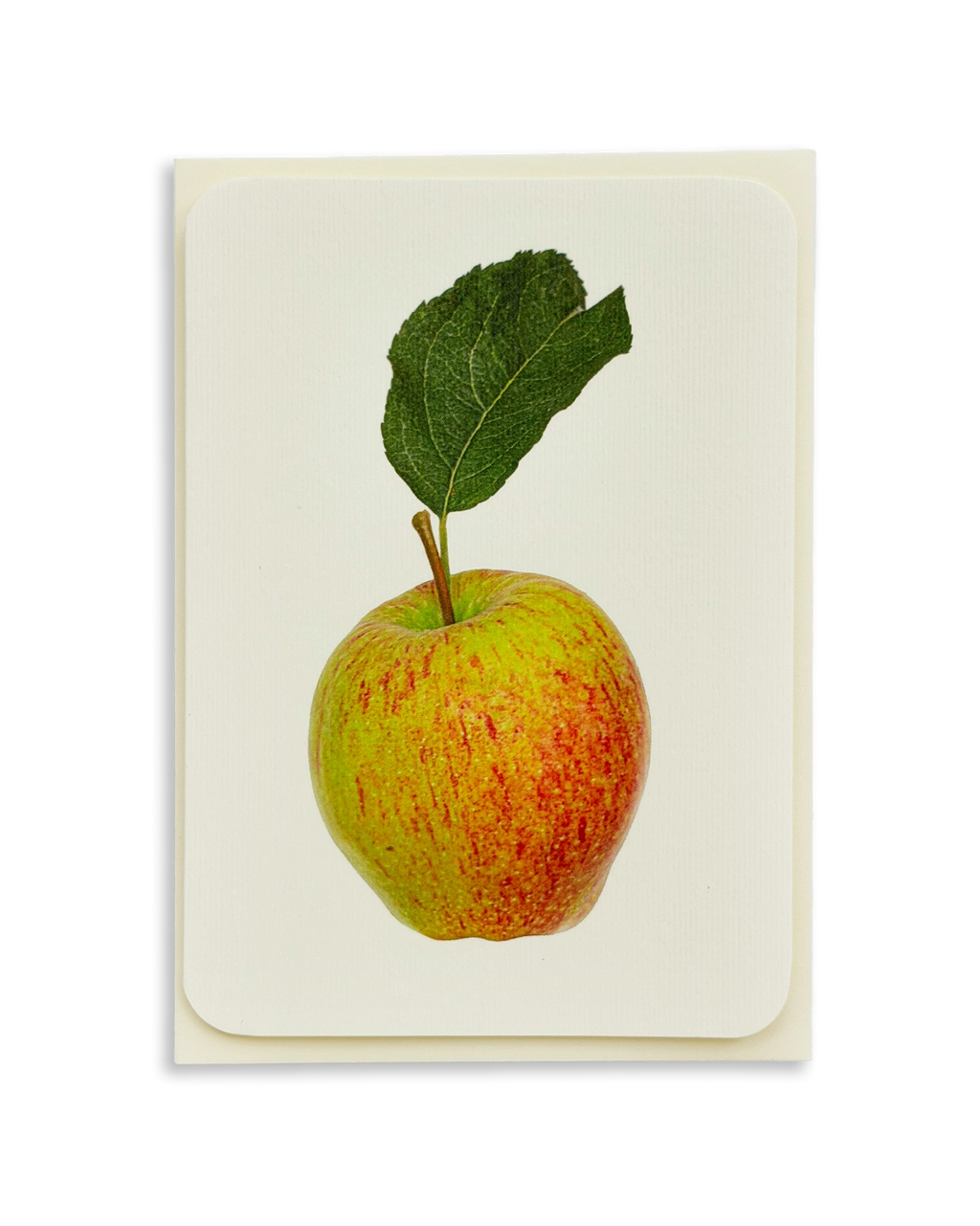 Laxton's Fortune Apple Greeting Card