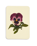 Pansy I Greeting Card