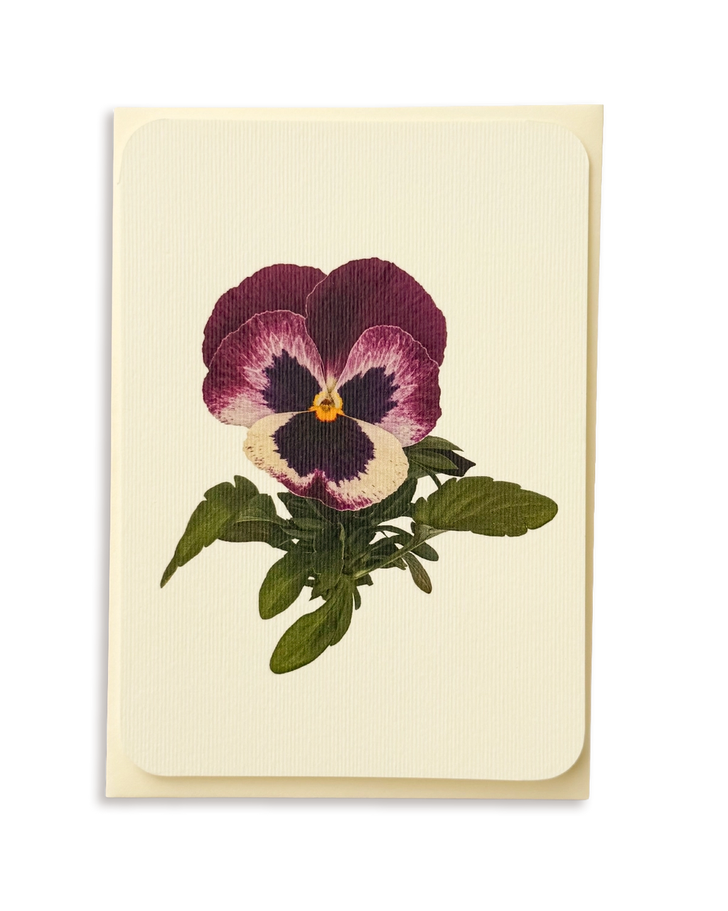 Pansy I Greeting Card