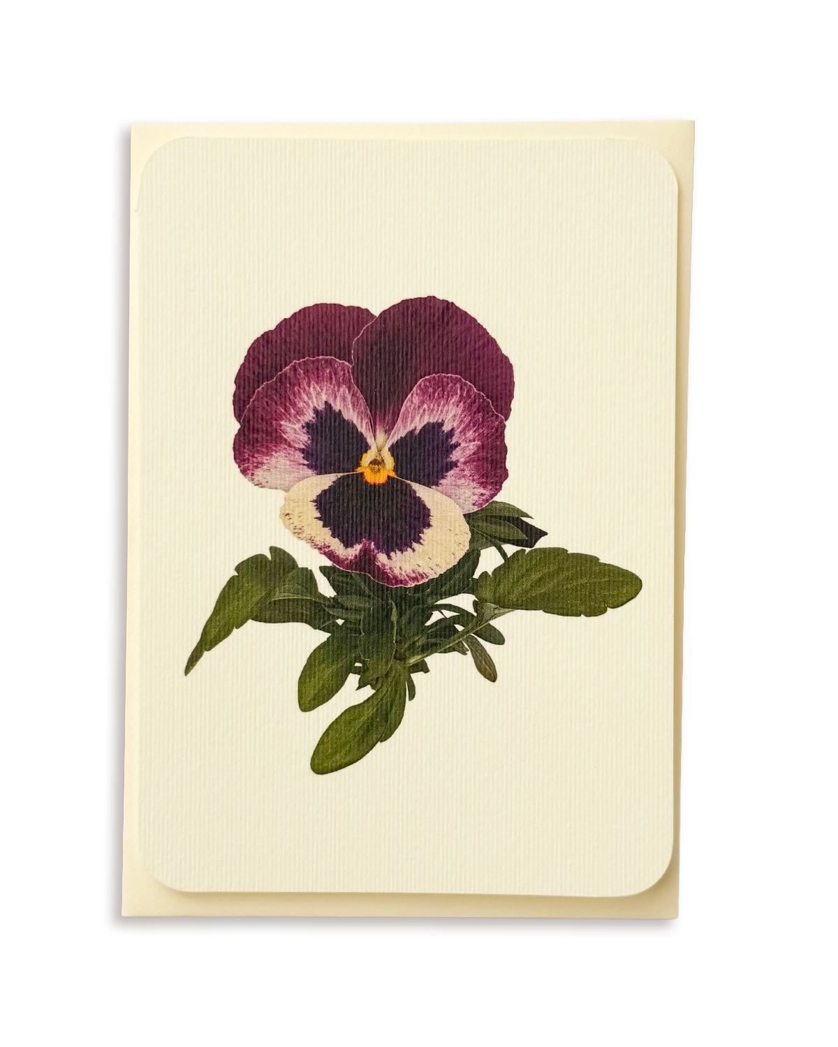 Pansy I Greeting Card