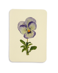 Pansy II Greeting Card