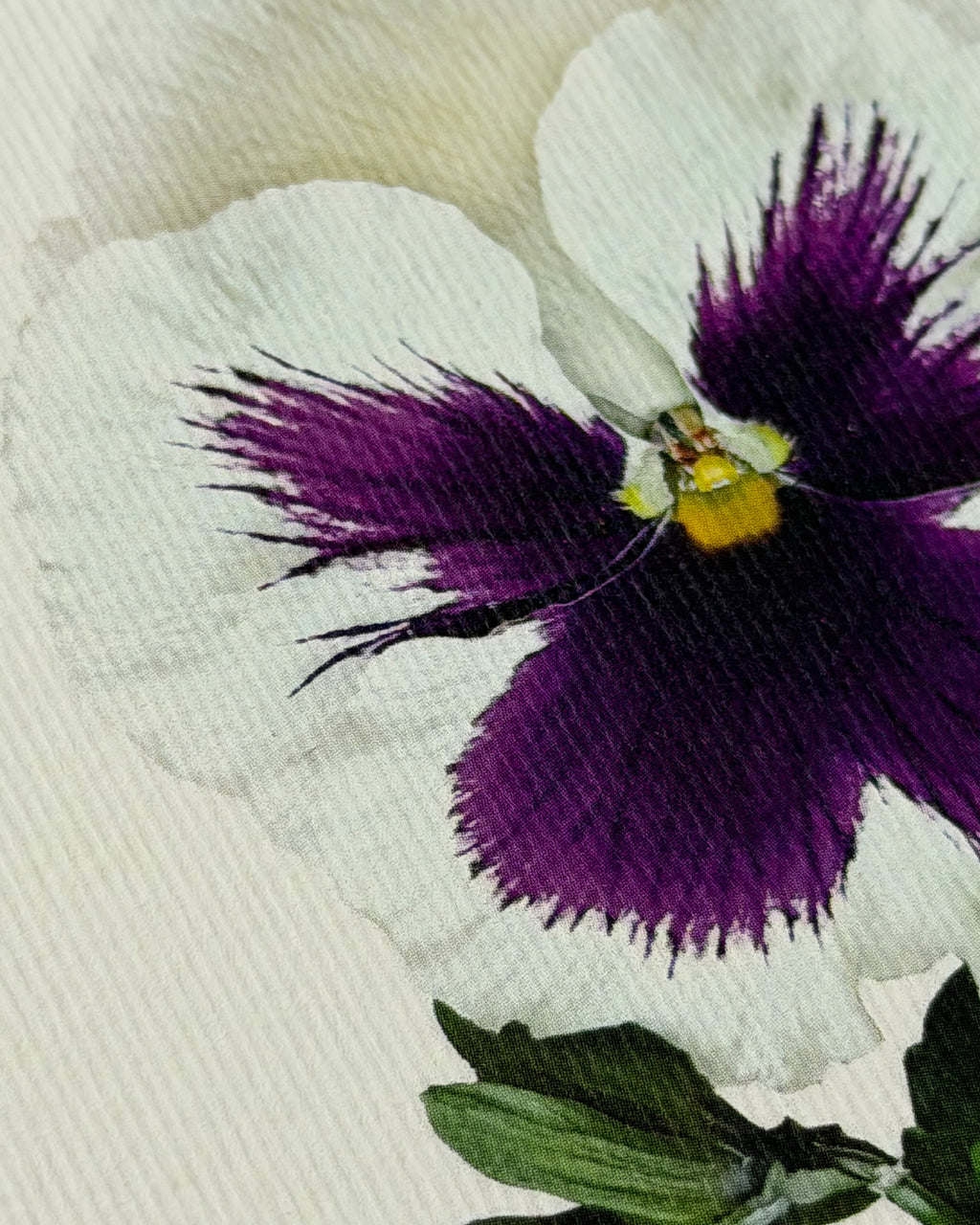 Pansy V Greeting Card