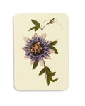 Passion Flower Greeting Card