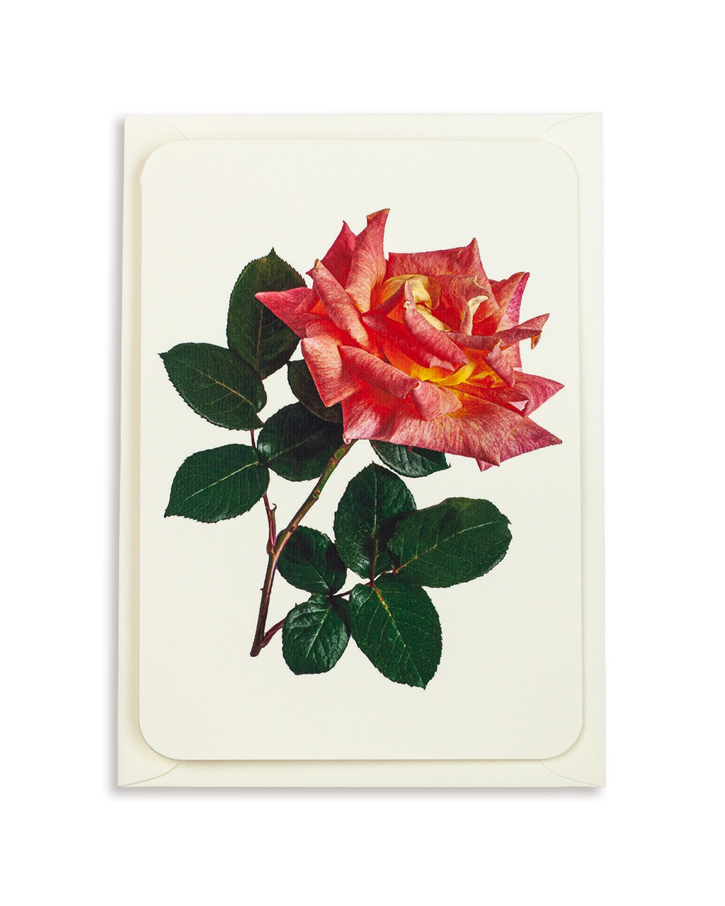 Pink & Yellow Rose Greeting Card