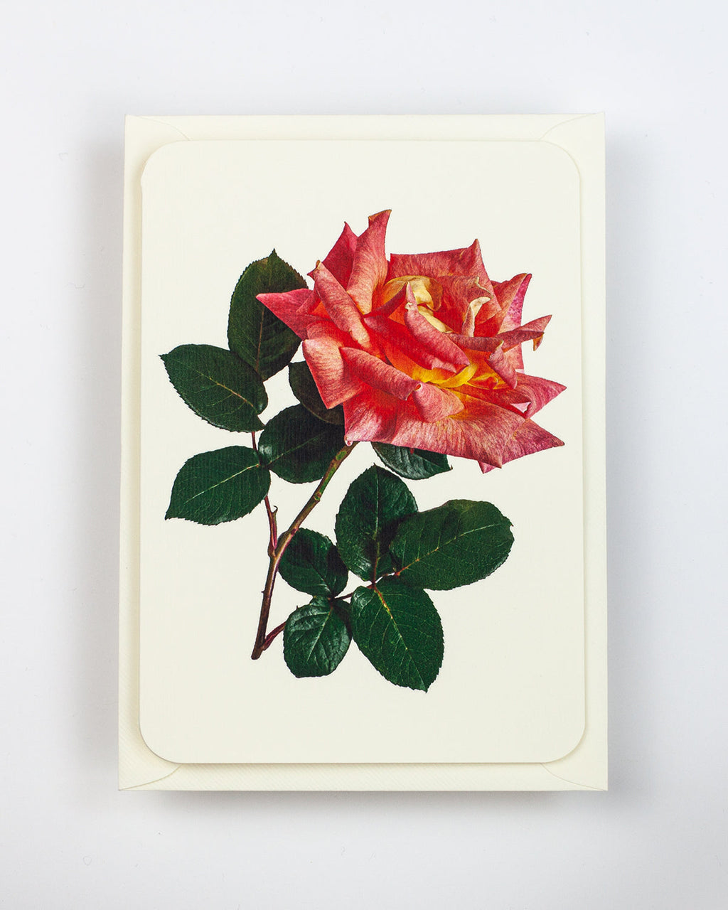 Pink & Yellow Rose Greeting Card