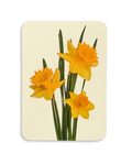 Posy of Daffodils Greeting Card