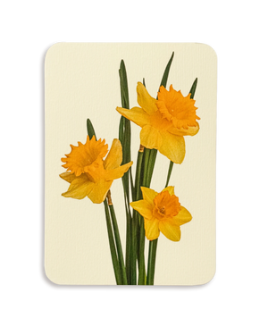 Posy of Daffodils Greeting Card