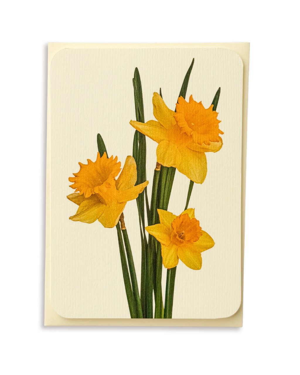 Posy of Daffodils Greeting Card