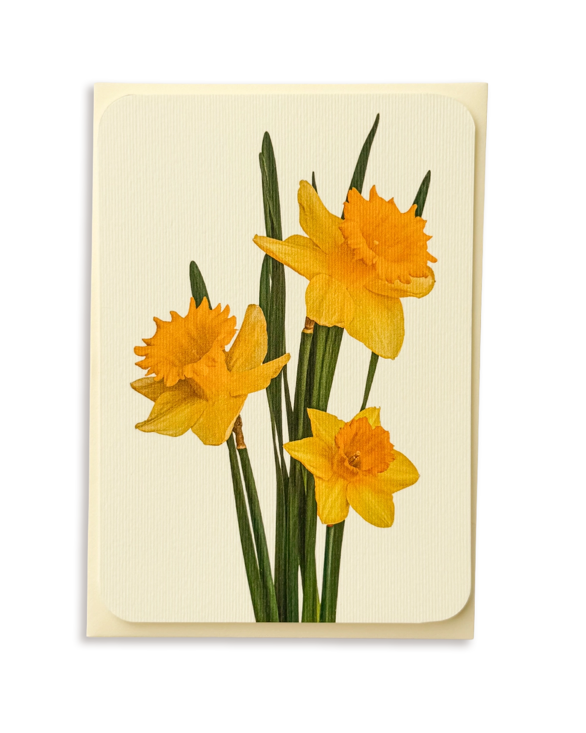 Posy of Daffodils Greeting Card