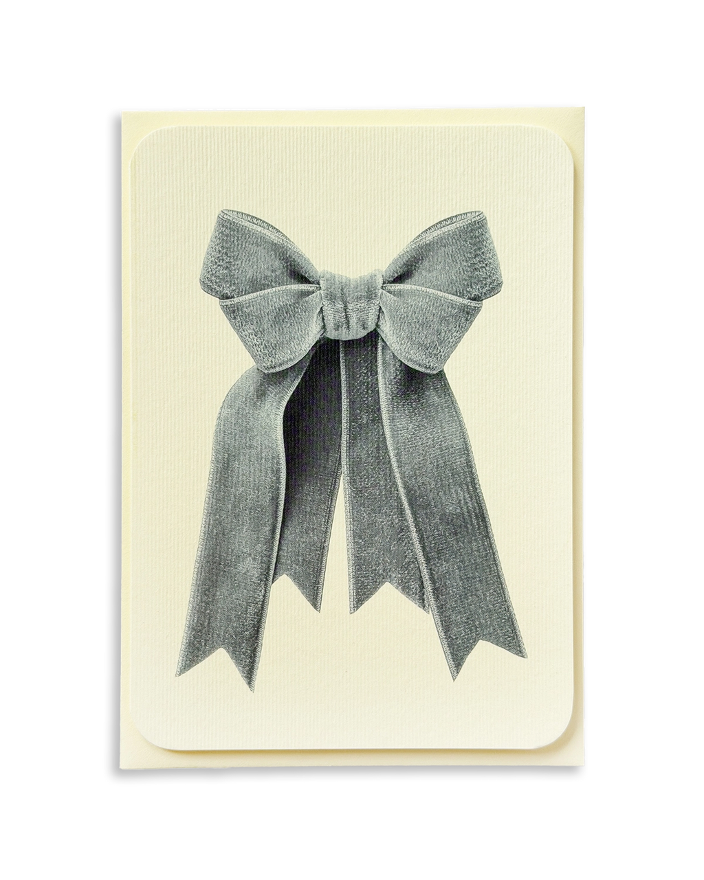 Powder Blue Velvet Bow Greeting Card