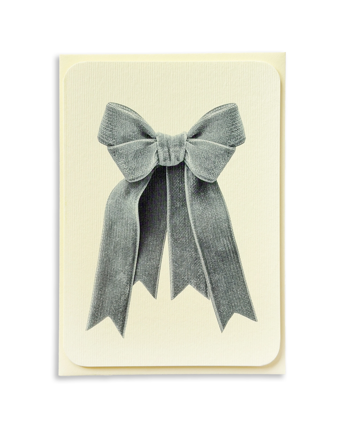Powder Blue Velvet Bow Greeting Card