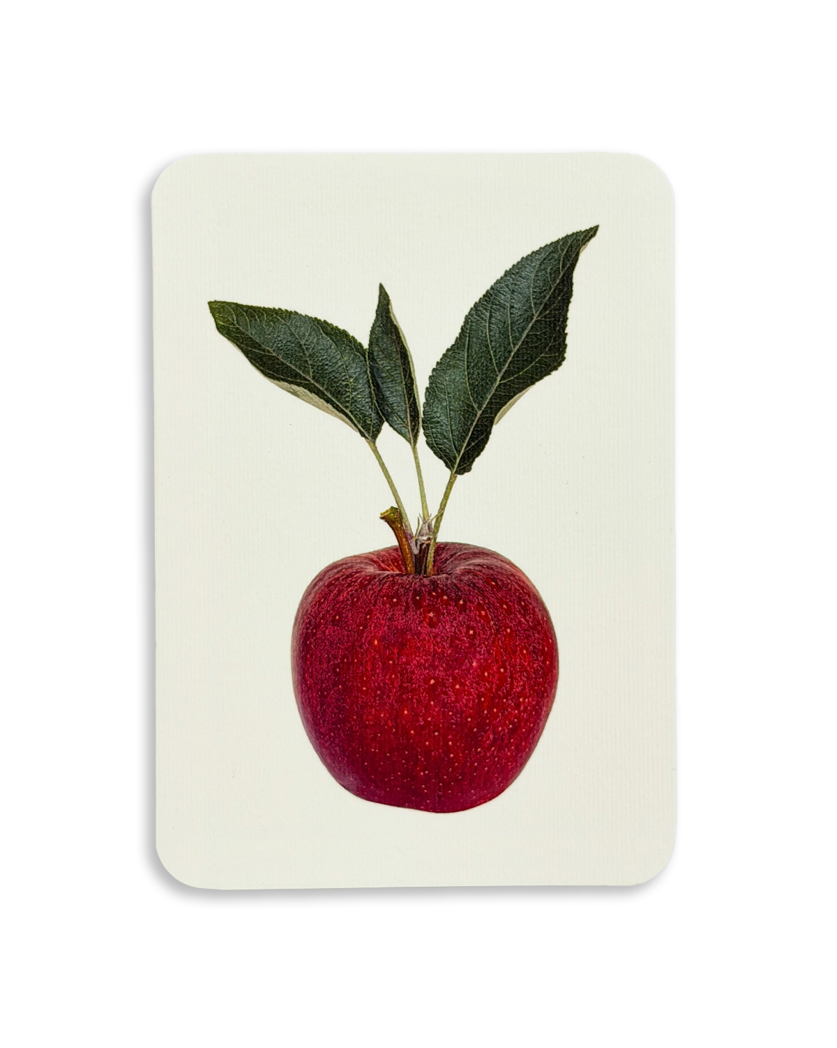 Red Devil Apple Greeting Card