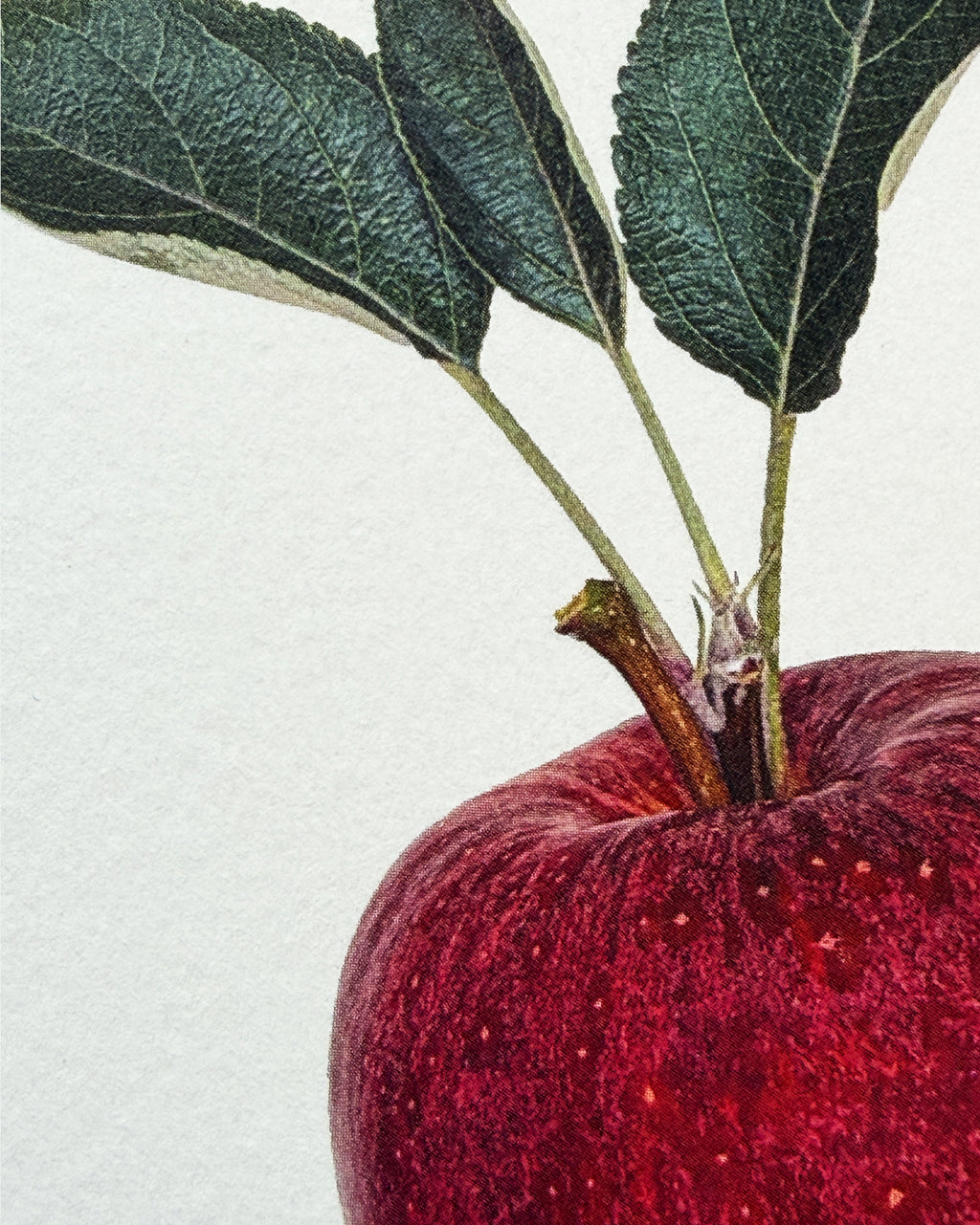 Red Devil Apple Greeting Card