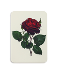 Red Rose Greeting Card